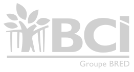 BCI logo monochrome_gris_262x141px