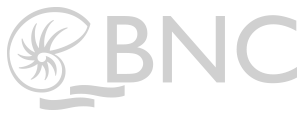 BNC version2_monochrome gris
