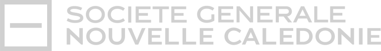Logo_societe-generale-gris